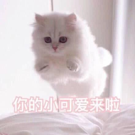  幽默段子笑话我女朋友爹妈太迷信,居然要她和我分手