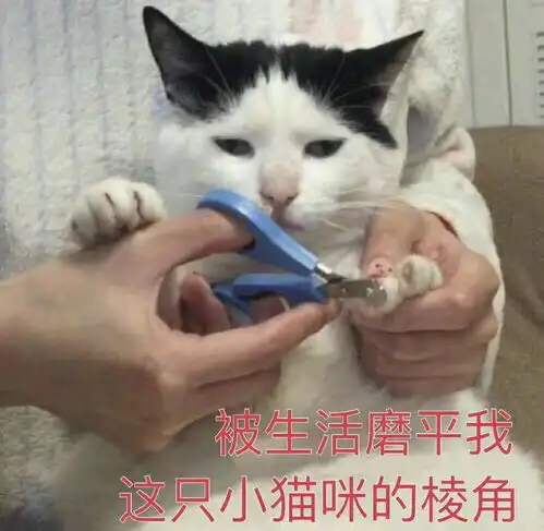  妆收藏夹