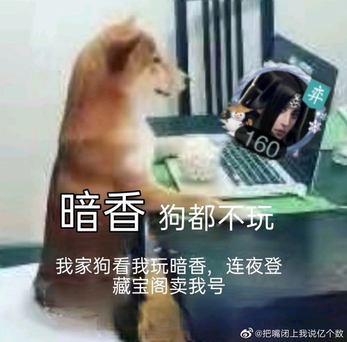  一梦江湖表情包