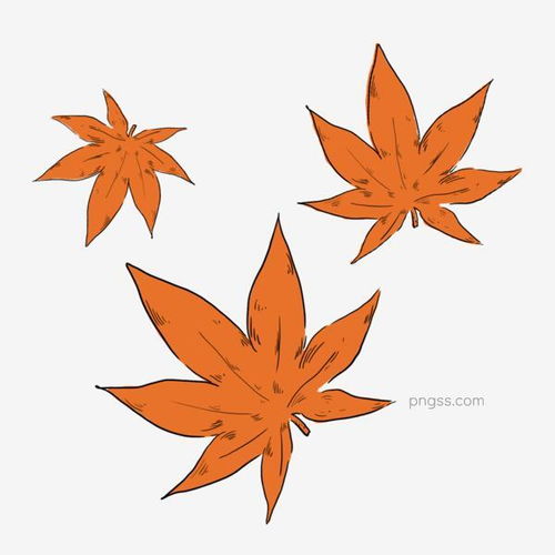  灰色手绘枫叶植物元素图片大小2000x2000px图片尺寸489.61kb来自png搜索网pngss.com免费免扣png素材下载变化大自然风景枫叶光泽环境灰色季节卡通插画漂浮素材生长手绘植物