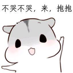 安慰表情包无文字