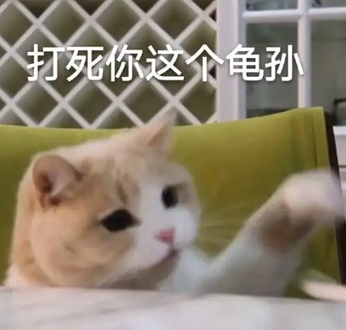  可爱沙雕表情包打死你这个龟孙