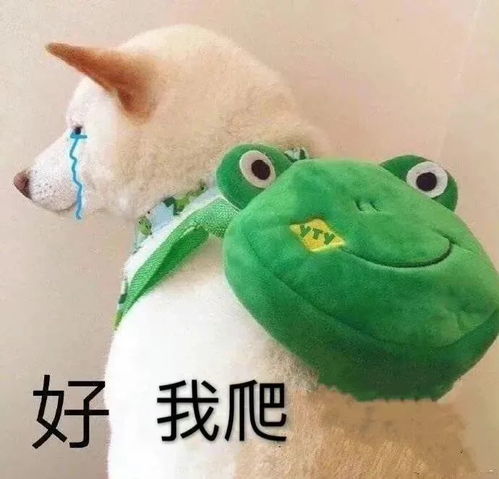  沙雕表情包下班下班狗子快走