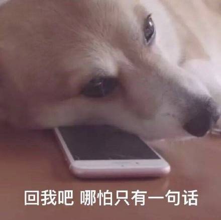  笑话段子小姐,有个先生在吧台大叫说要迎娶你