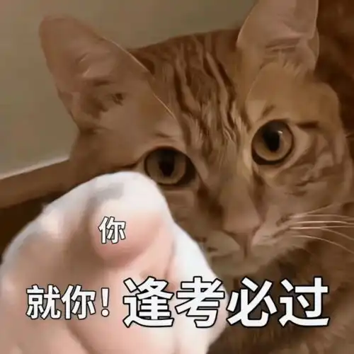  2022扬州中考老师家长花式应援