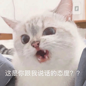  马上就来收拾你第221期喵表情