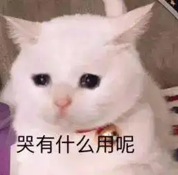  一秒入春西安气温直飚20过年的天气太刺激...