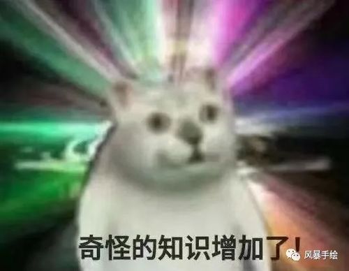  城乡规划考研重点名词解释合集你全知道小编吃键盘查漏补缺的时间到了