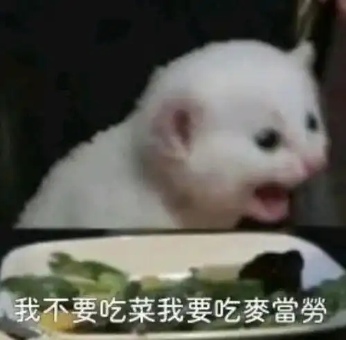  群友的表情包11