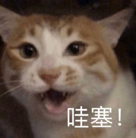  旗舰之王再清仓麒麟990电影四摄,再不买就晚了
