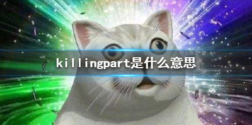  killingpart是什么意思黄晓明问killingpart是啥