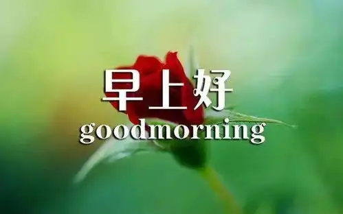  最新版非常漂亮的早上好表情图片温馨早安心语语录