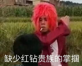  离职员工杀个回马枪光明警方连带侦破多宗盗窃案