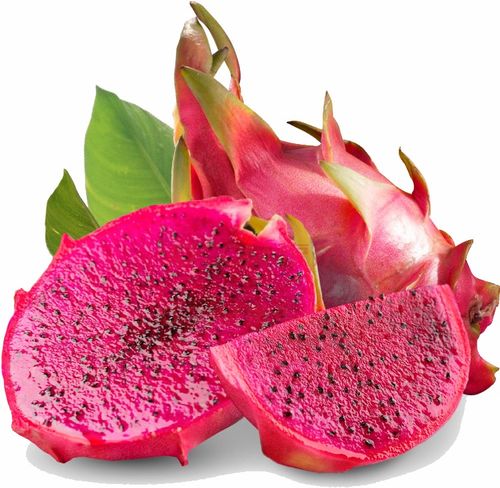 pitaya1043981水果png图片