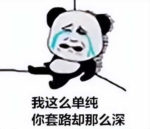  快收被子降温降雨大风襄阳清明小长假