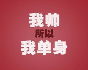  2017年光棍节微信祝福语
