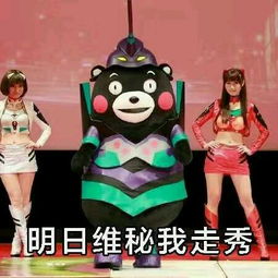  明天维密我走秀熊本熊表情包下载明天维密我走秀表情包高清无水印极光下载站