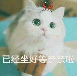  自截要天上星不要世间苦