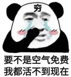  华为开始在加拿大渥太华做6g研发啦