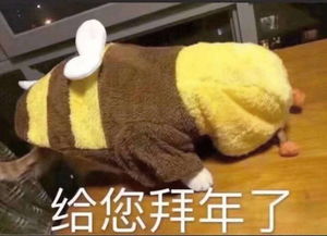  天气最高38春节海南天气好,适合穿短袖去拜年