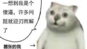 猫咪恶搞表情包抖音