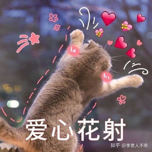  给男朋友的每日情话