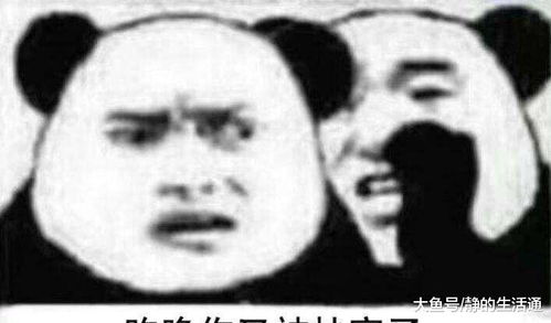  5张超沙雕的明日之后表情包,一张比一张魔性,太真实了