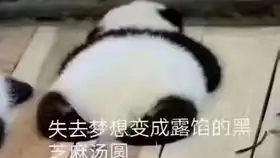 鸭表情包原版熊猫