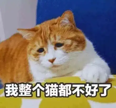  福建八大最难懂的方言永安话仅排第五,永安人表示不服