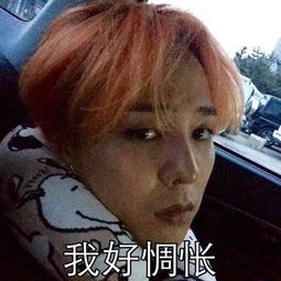  bigbang表情包hhh徐菲的美拍