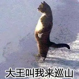  喵咪表情包,拿走不谢