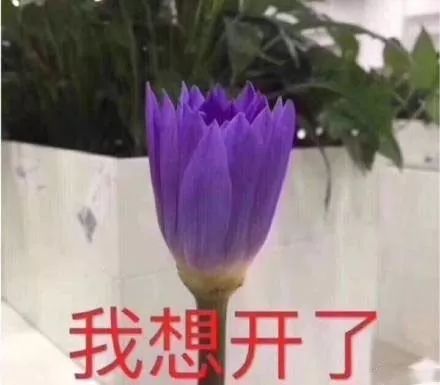  双十一后钱包暴瘦来,这颗定心丸让你的钱包缓口气