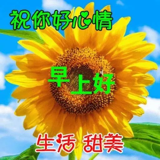 好温暖是阳光吗表情包