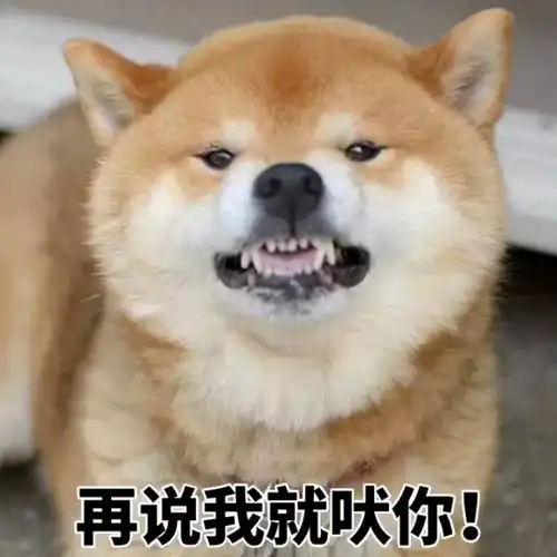 加特林表情包动图大全