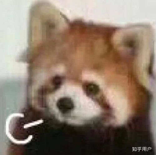  有个脾气暴躁的父亲是怎样的体验