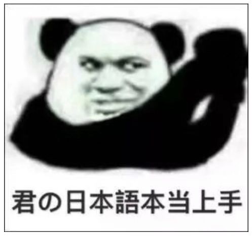  有什么学日语的人才懂的表情包