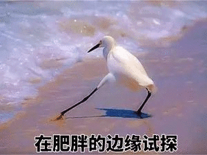 向大佬低头表情包gif进