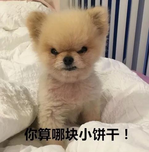  新车被女友刮了,男子发帖想让她赔,没想到女友出现了...