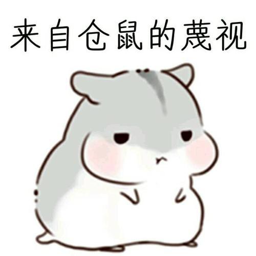  仓鼠表情包小娘子最美啦
