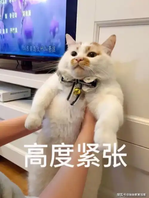  博士答辩现场火了,看教授大气都不敢喘,看评论区却各种内幕