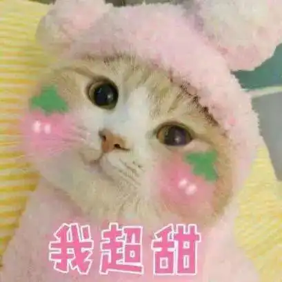 你好的表情包晚安