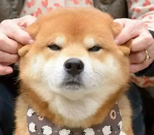  为什么你老是接到骚扰电话原来是......
