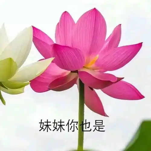  寝室宫斗大戏拍摄现场