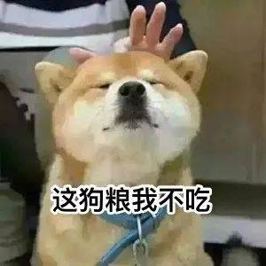 大货车并排停中山道路上秀同款粤a车牌,结局亮了