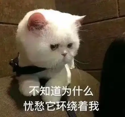  4年经验裸辞2个月,40场面试一路的心态变化及经验总结