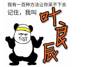  叶良辰限量版表情包