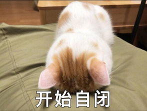 自闭表情包社恐