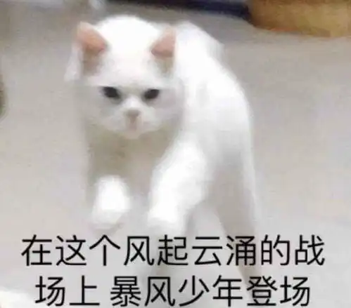  我竟然有个这么厉害的广场号