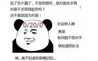  菜鸡网友游戏中输了的原因99队友太坑,1是网络太卡