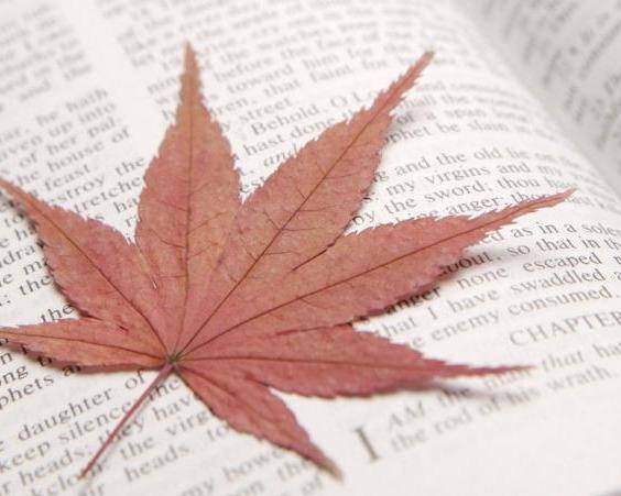  40多岁的女人,在不经意间就老了,越老越就要越靠软实力